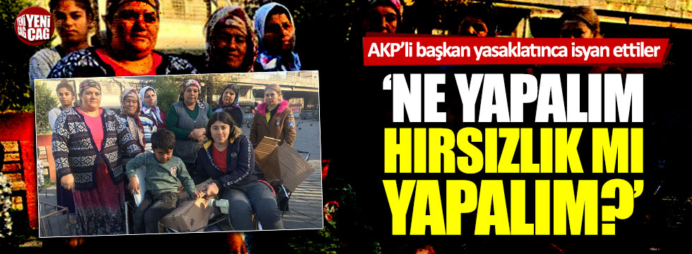 https://www.yenicaggazetesi.com.tr/d/news/346429.jpg